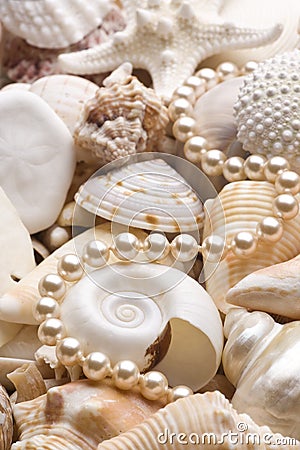 Seashell background with pearls Stock Photo