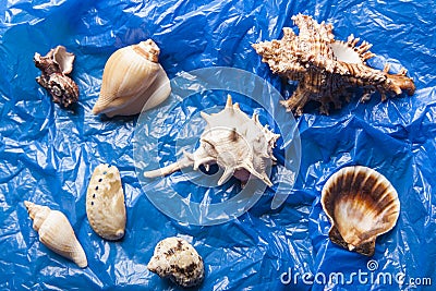 Seashell blue garbage package background Stock Photo