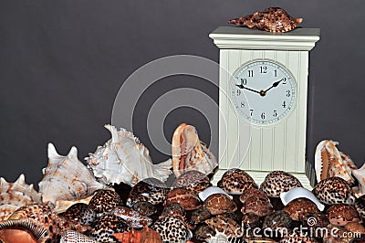 Seashell collection with clock 3 Stock Photo