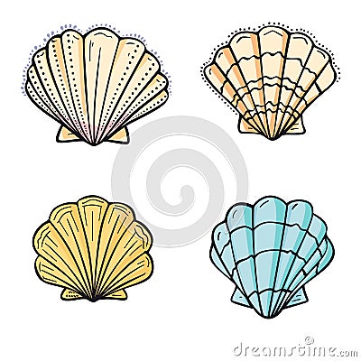 Seashell collection features various colorful scallop shells. Set sea shells different color Vector Illustration