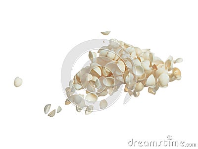 Seashell fall splashing in air. sea shell explosion flying, abstract cloud fly. Many Small white Seashell scatter in many group. Stock Photo