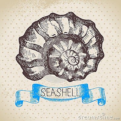 Seashell hand drawn sketch. Vintage illustration Vector Illustration