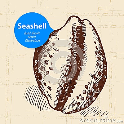 Seashell hand drawn sketch. Vintage illustration Vector Illustration