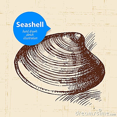 Seashell hand drawn sketch. Vintage illustration Cartoon Illustration