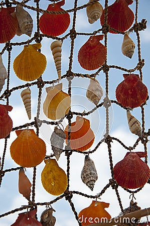 Seashell net sky background. Shell net hanging outdoors. Decorative net. Shell mobile crafts Stock Photo