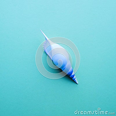Seashell on pastel color backgrounds.Flat lay Stock Photo