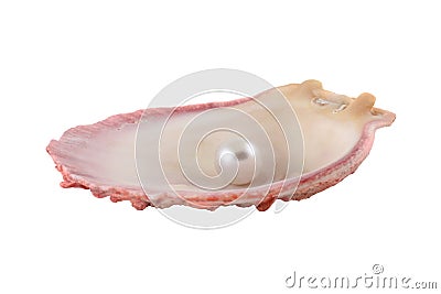 Seashell and pearl Stock Photo