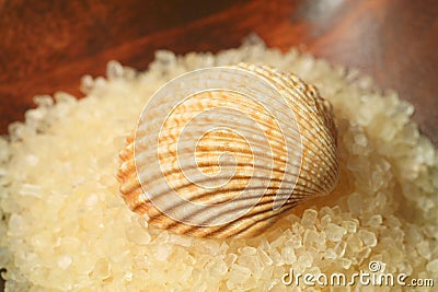 Seashell on salt pile Stock Photo