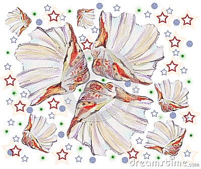 Seashell sea, star, watercolor Stock Photo