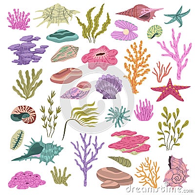 Seashell seaweeds corals. Color underwater conches, hawaii beach elements, reefs wildlife, beautiful ocean nature, shell Vector Illustration