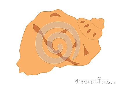 Seashell veined rapa whelk flat icon isolated on white background, vector eps 10 Vector Illustration