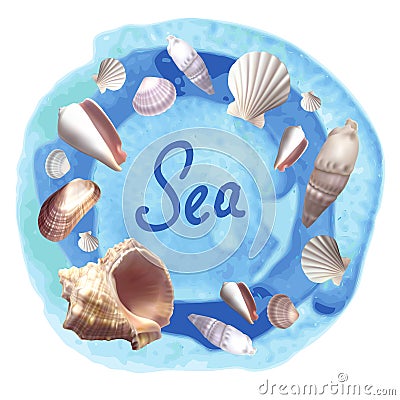 Seashells on blue watercolor background Vector Illustration