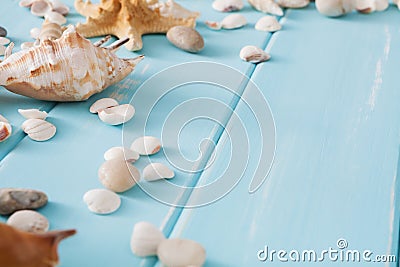 Seashells on blue wood, sea vacation background Stock Photo