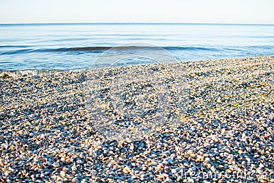 Sea shells and clams on sunrise coastal sandy beach seascape Stock Photo