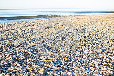 Sea shells on sunrise coastal sandy beach seascape Stock Photo
