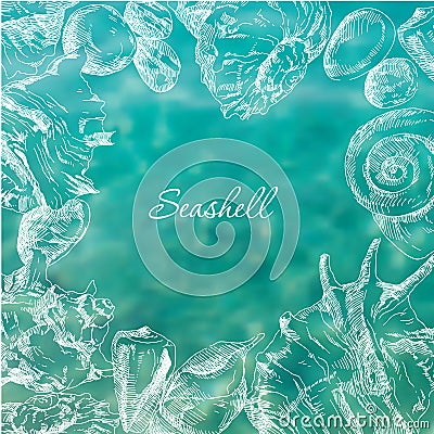 Seashells frame background Vector Illustration