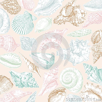 Seashells frame Vector Illustration