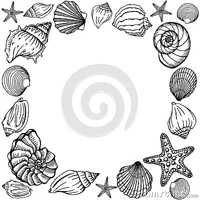 Seashells frame. Sea and ocean design template. Vector illustration. Vector card templates. Perfect for business card, invitation Vector Illustration