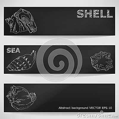 Seashells hand-drawn in a sketchy style on a blackboard. Vector Illustration