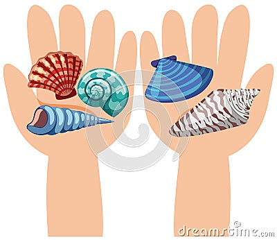 Seashells on human hands Vector Illustration