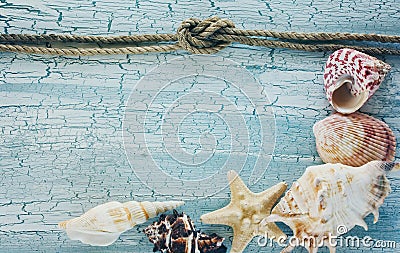 Seashells lay on wooden table Stock Photo