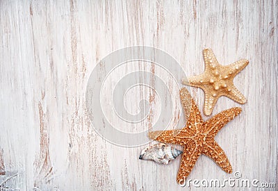 Seashells on the old shabby chic wood background Stock Photo