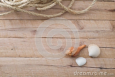 Seashells and rope on plain wooden boards Stock Photo