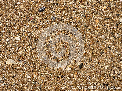 Seashells sand texture Stock Photo