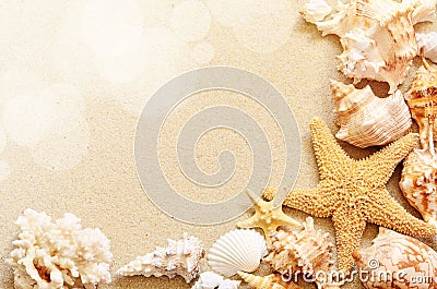 Seashells on seashore in tropical beach Stock Photo