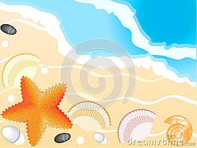 Seashells, seastar on beach and sea background Vector Illustration