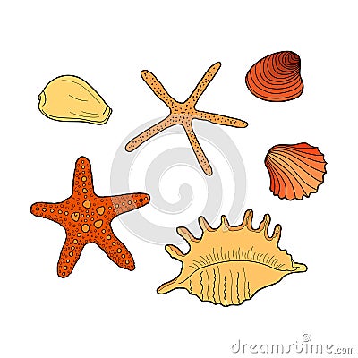 Seashells set. Collection of sea shells different forms. Hand-drawn vector colorful illustrations. Marine set. Design element for Vector Illustration