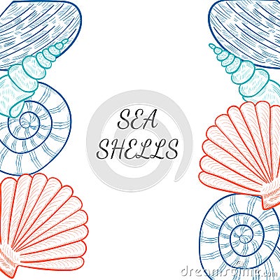 seashells, starfish border 2 Stock Photo