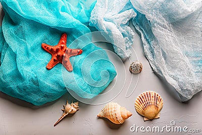 Seashells and starfish on cian and white cloth Stock Photo