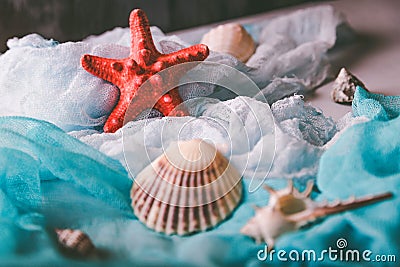 Seashells and starfish on cian and white cloth Stock Photo