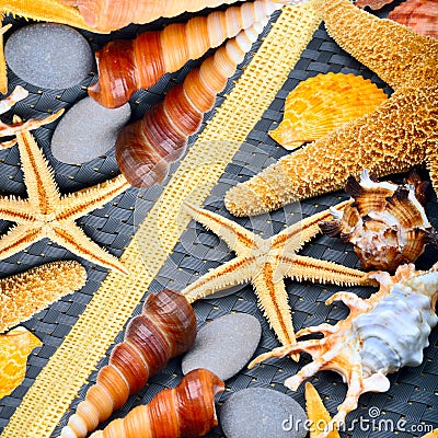 Seashells, starfish, pebbles Stock Photo