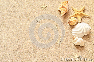 Seashells and starfish on the sand background. Summer beach. Stock Photo