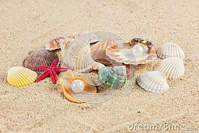 Seashells und starfish on sand beach postcard Stock Photo