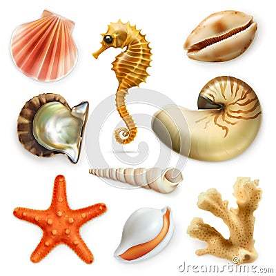 Seashells, vector icon set Vector Illustration