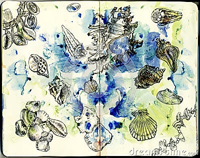 Seashells on watercolor abstract background. Cartoon Illustration