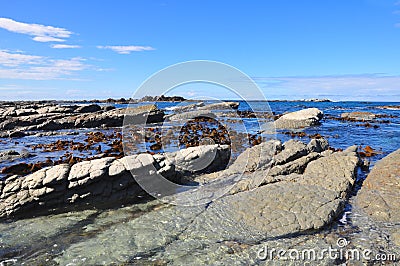 Seashore Stock Photo