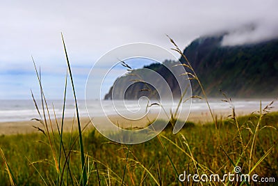 Seashore Beach with Morning fog Stock Photo