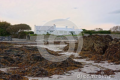 Seashore beach property with seaweed covered rocks. Editorial Stock Photo