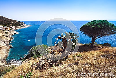 Seashore coastline with beach and rocks and rocky slope of the Island of Elba in Italy. Many people on the beach sunbathing. Blue Stock Photo