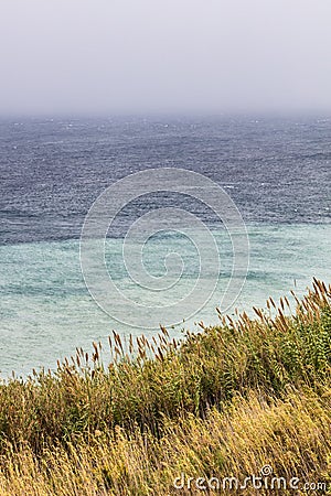 Seashore line with blue water and yellow grass Stock Photo