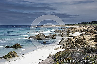 Seashore Stock Photo