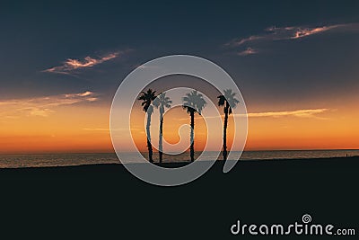 Seaside landscape peace and quiet sunset and four palm trees on the beach Stock Photo