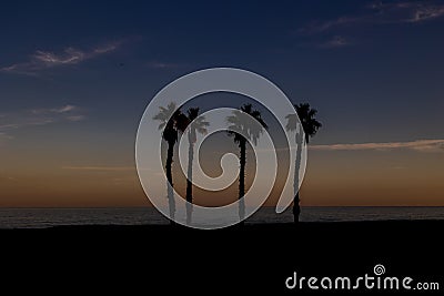 Seaside landscape peace and quiet sunset and four palm trees on the beach Stock Photo