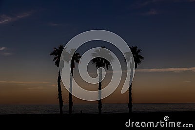 Seaside landscape peace and quiet sunset and four palm trees on the beach Stock Photo