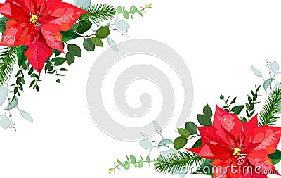 Seasonal angle floral frame with mixed bouquets of red poinsetti Vector Illustration