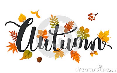 Seasonal autumn leaves handwriting background Vector Illustration